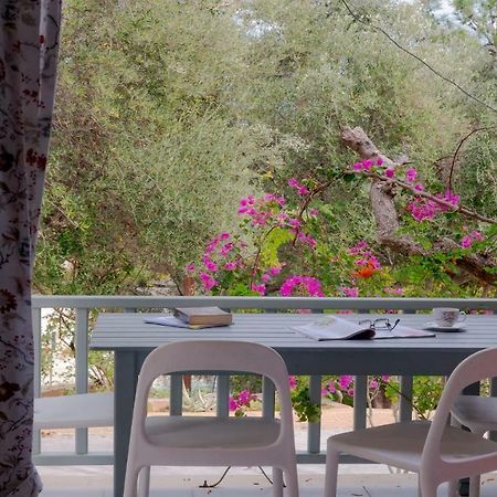 Mihaila Bungalows スパルティア エクステリア 写真